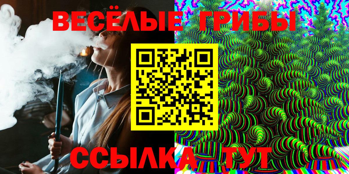 Псилоцибиновые грибы GOLDEN TEACHER Аша