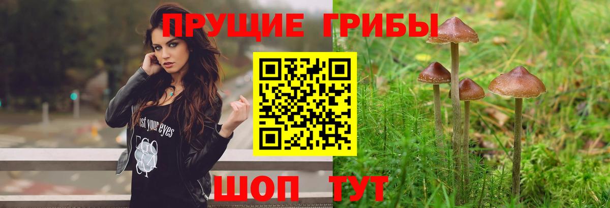 Аша  Галлюциногенные грибы прущие грибы  Вход с VPN 