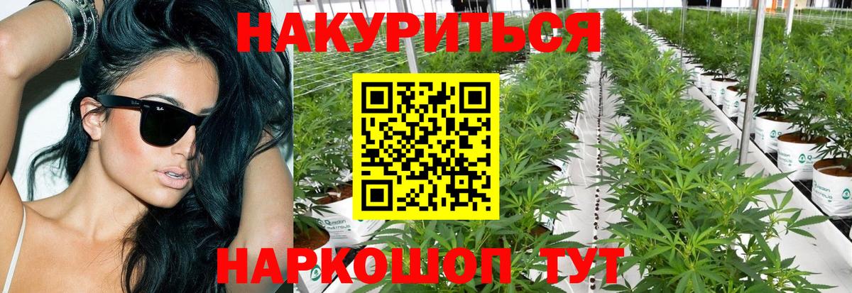 Бошки марихуана LSD WEED  Конопля сатива  Шишки марихуана ГИДРОПОН  Вход с VPN  Аша  МАРИХУАНА White Widow 